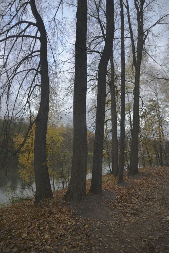 Осенний парк