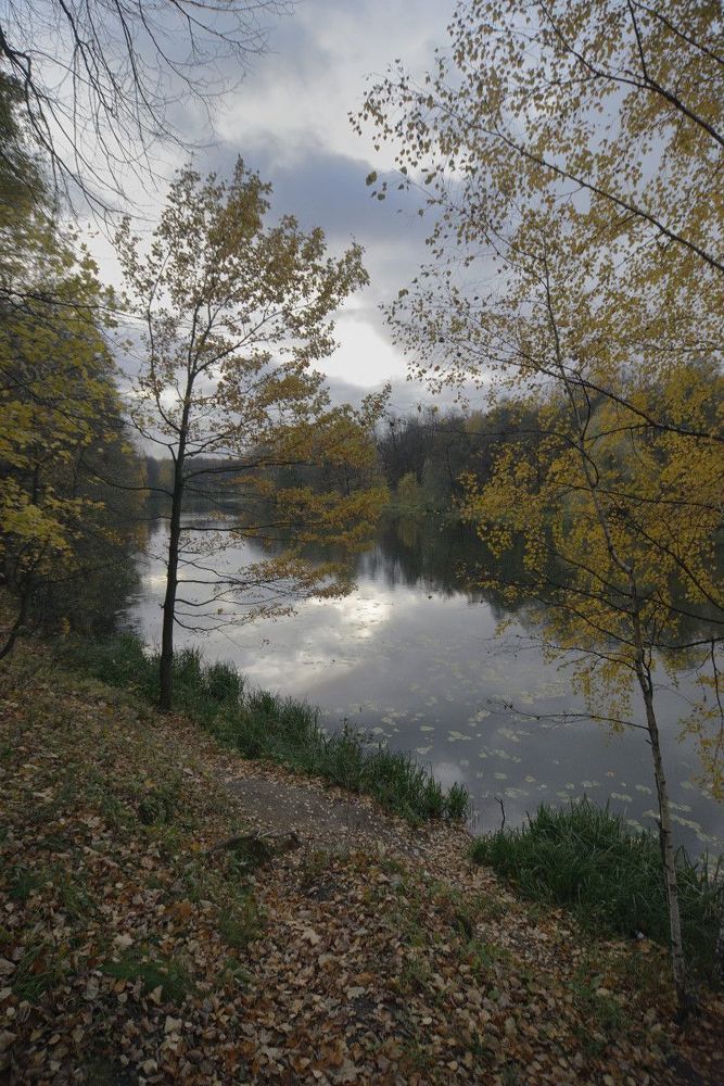 Осенний парк