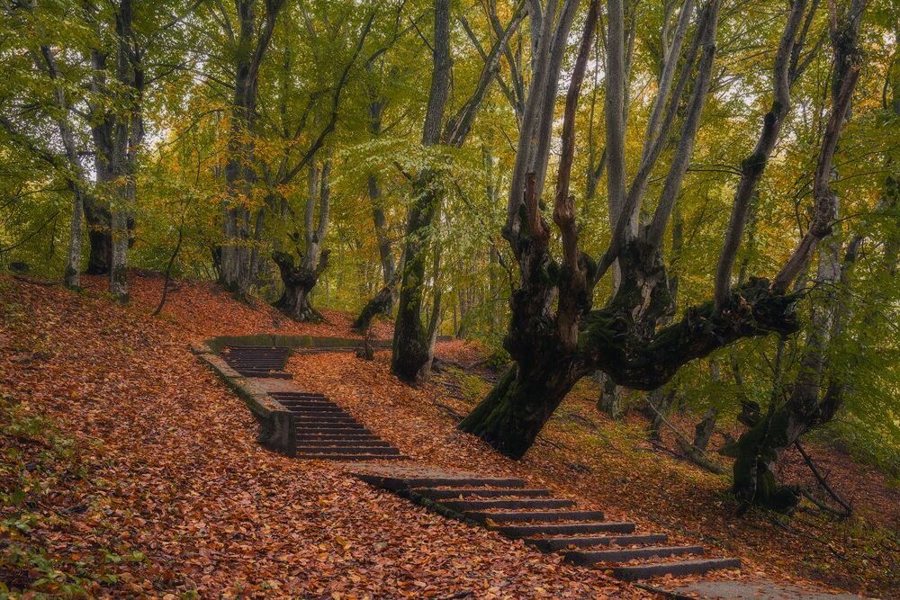 Терренкур_2