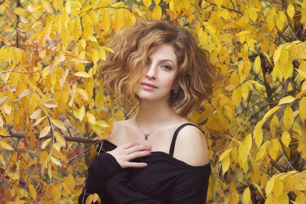 Дневники осени