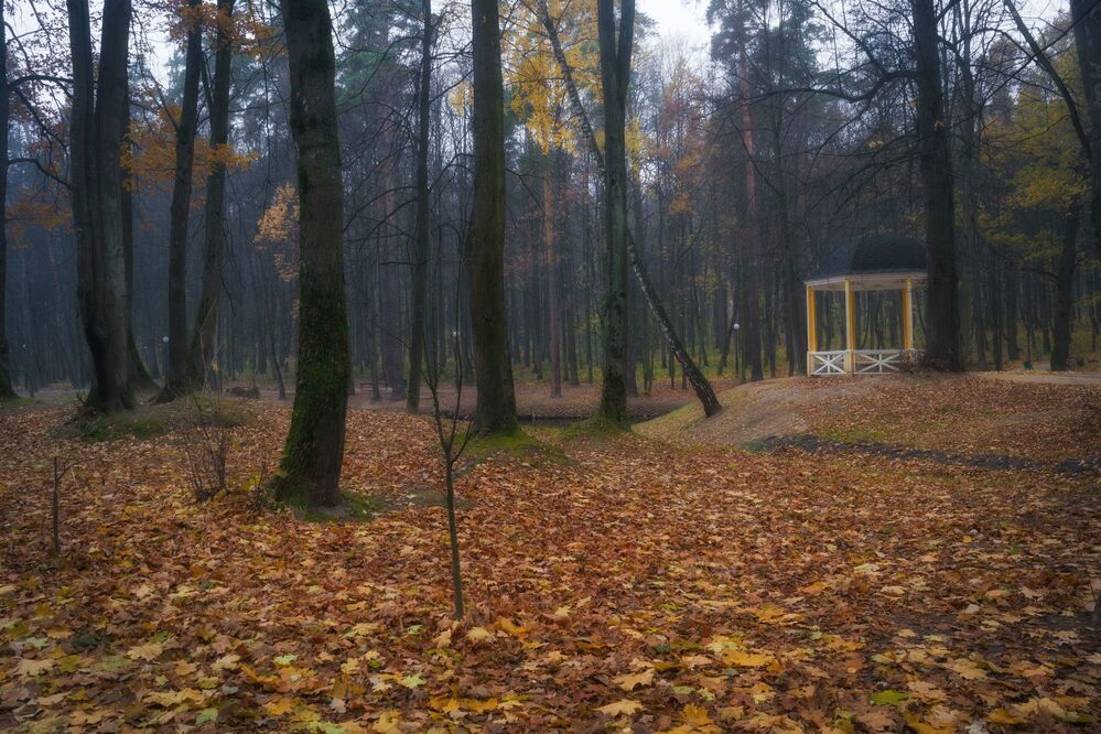 Осенняя пора