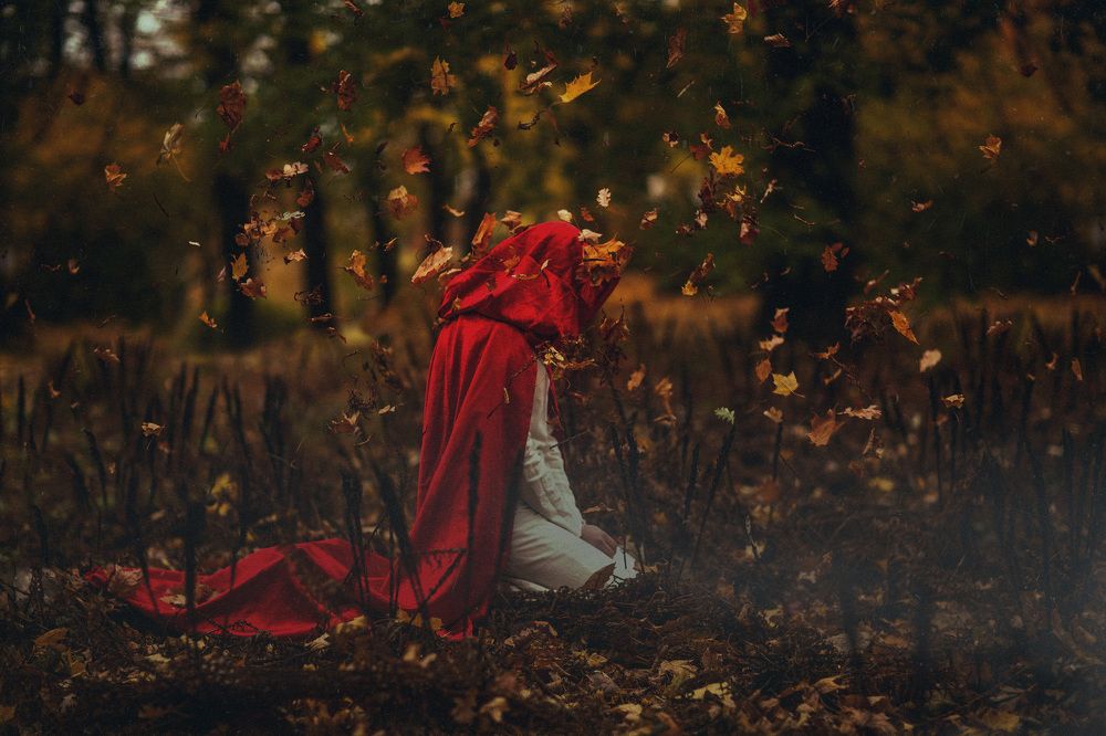 .red autumn.