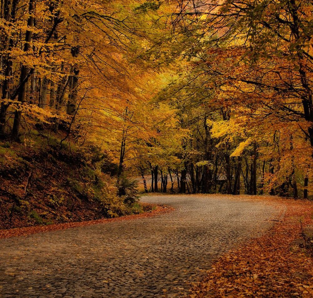 On the bend