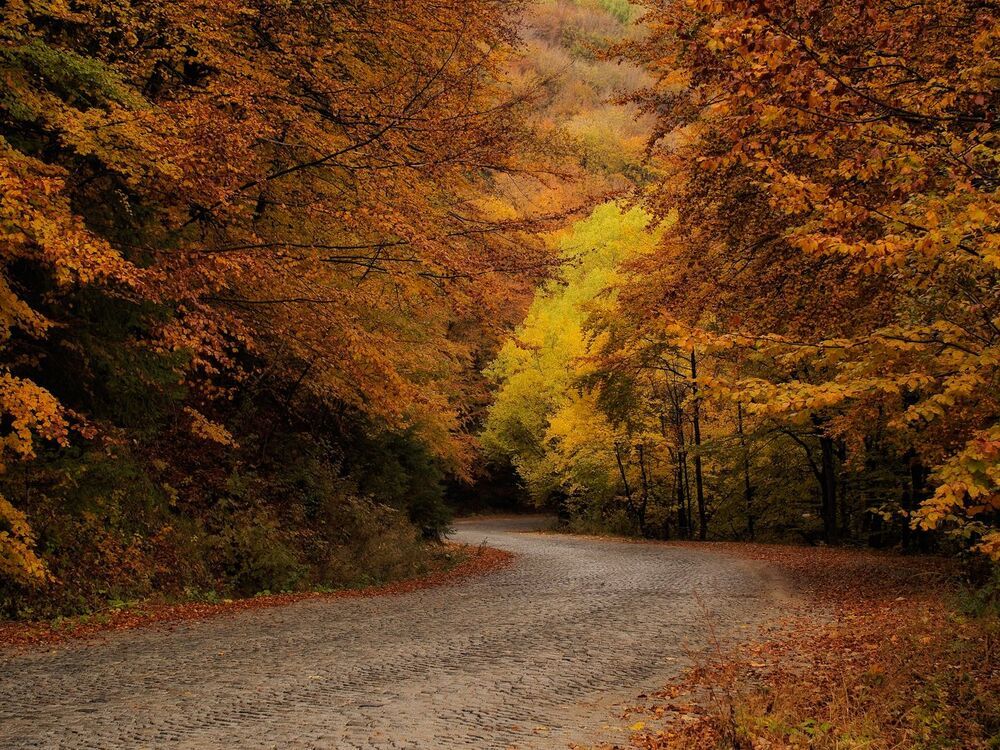 On the bend