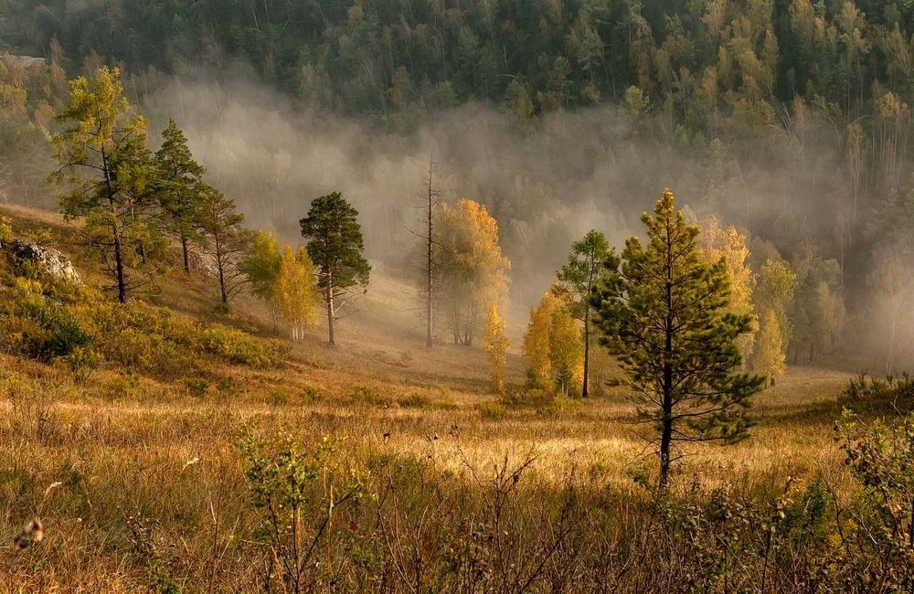 Прогулка по солнечным склонам.