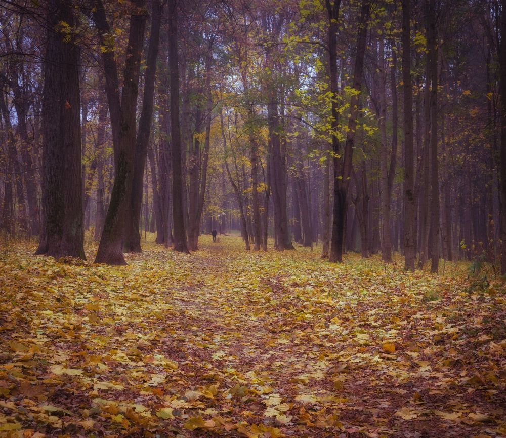 Осень