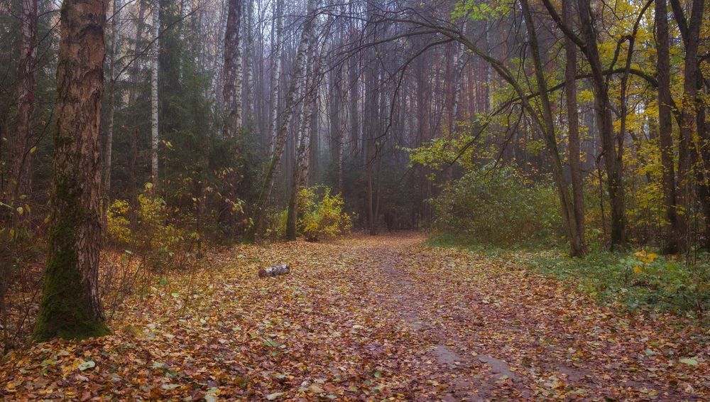 Осень