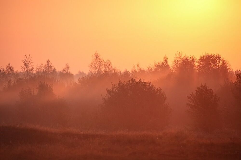 Солнце осеннее