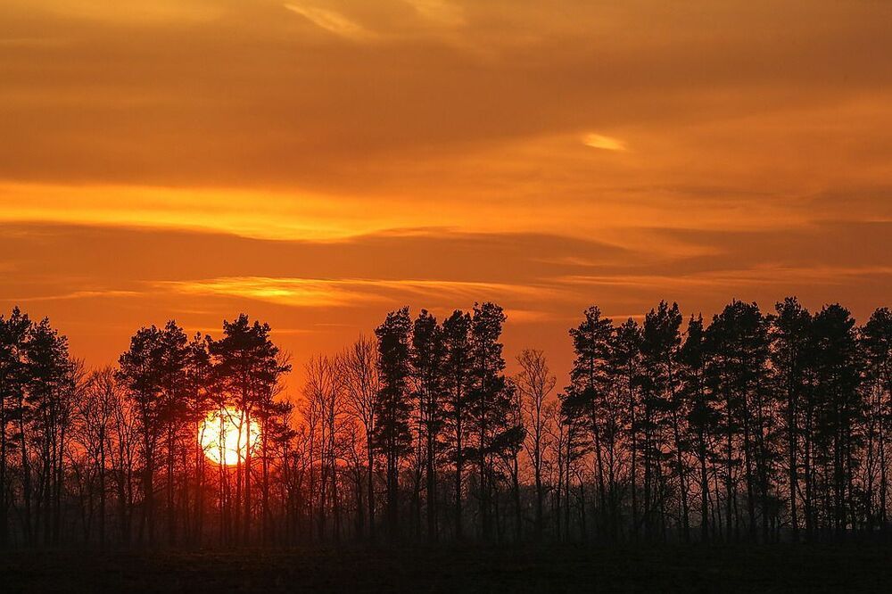 Солнце осеннее