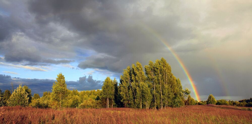 Русский пейзаж )