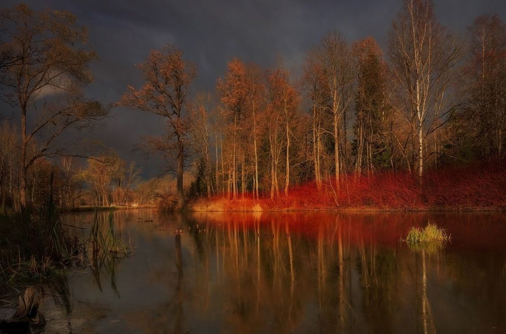 Мгновения света. . . .