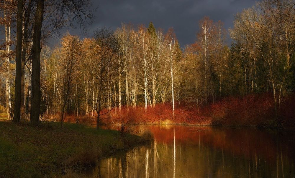 Мгновения света. . . .