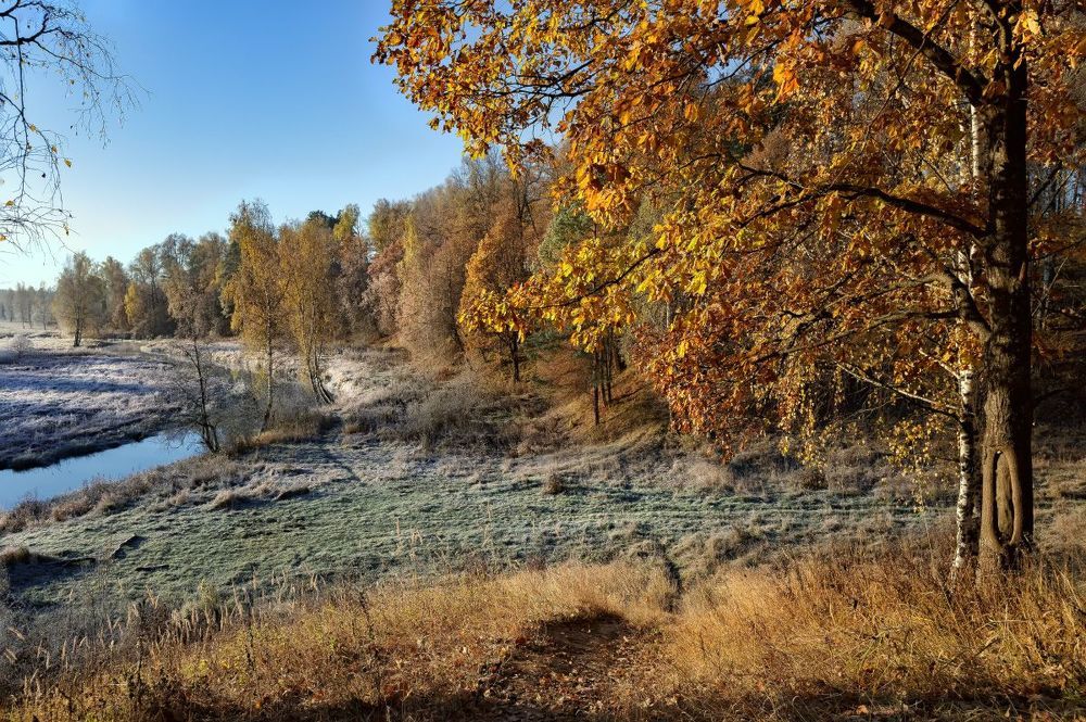 Краски октября