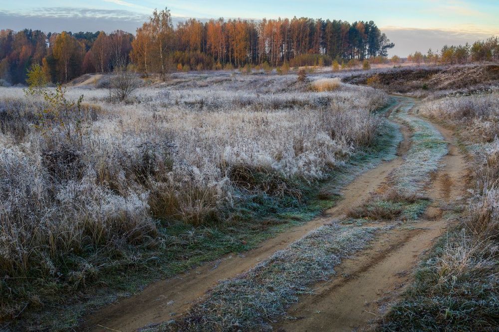 Краски октября