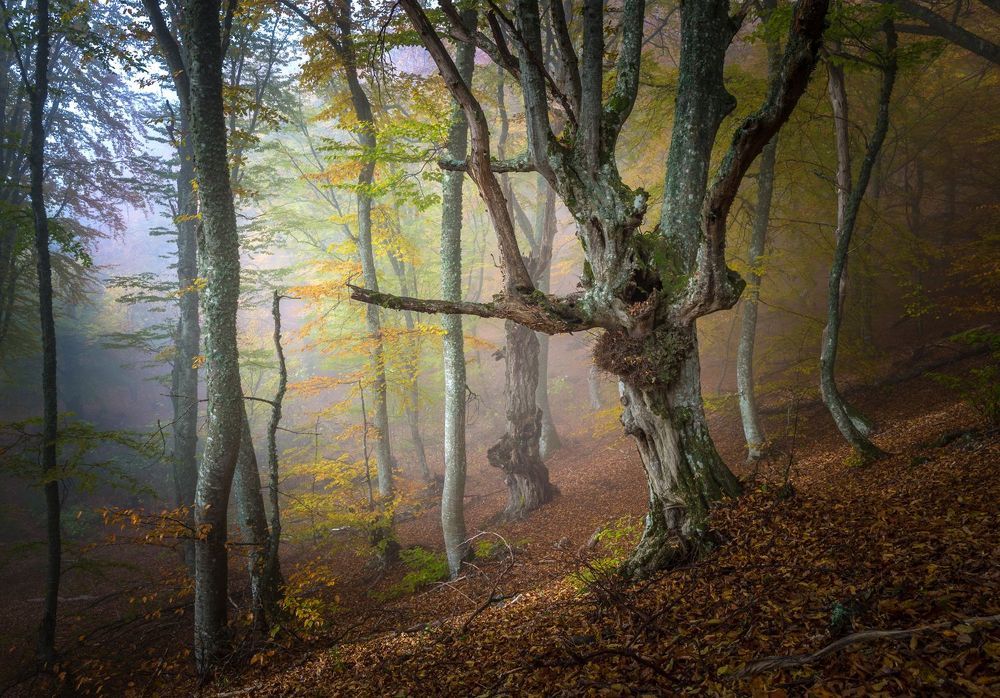 atmosphere....