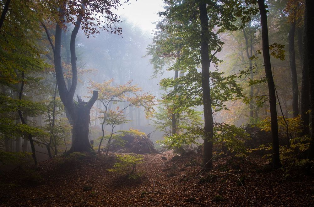 atmosphere....