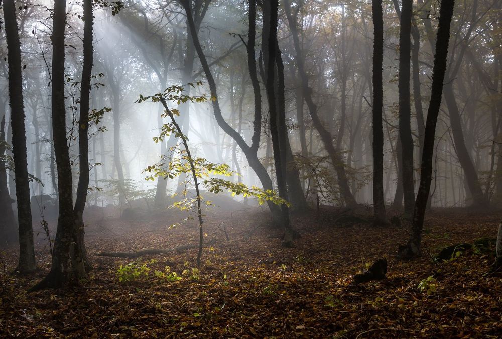 atmosphere....
