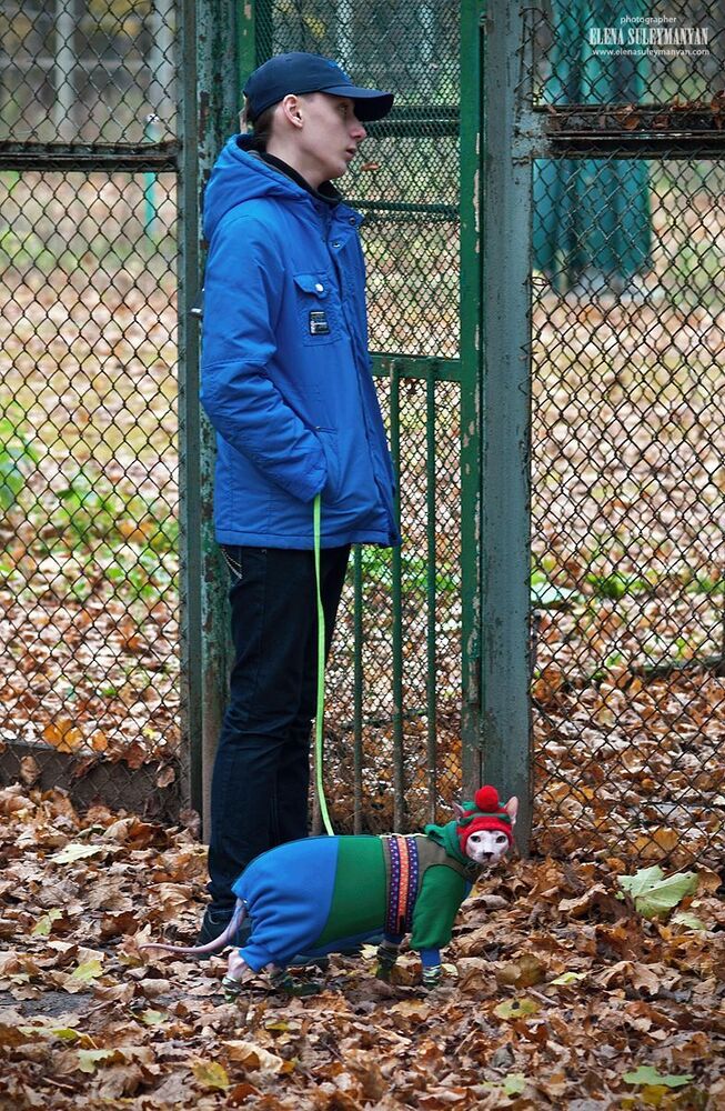 Кот в сапогах ))