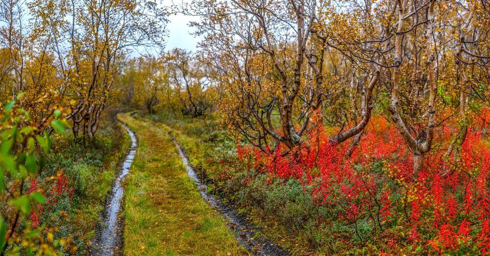 Хибинская осень