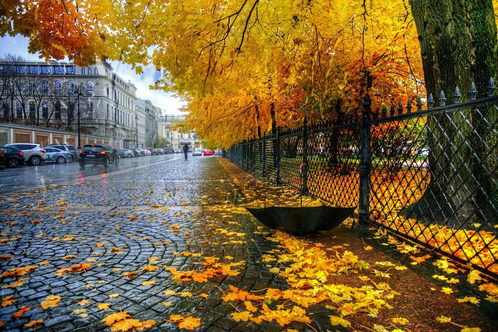 Осень. Екатерининский сад...