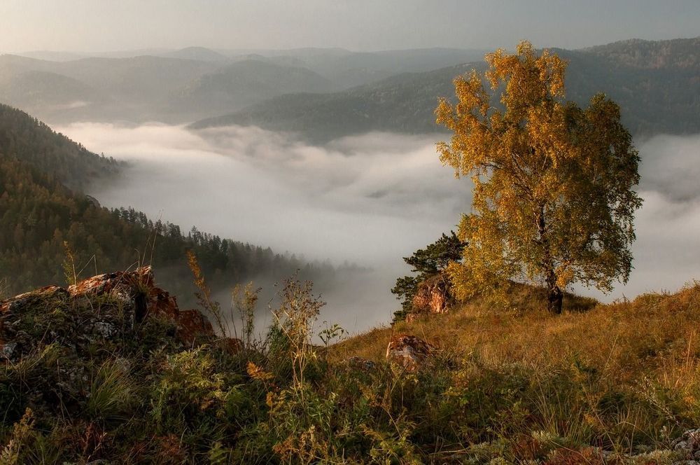 На краю.