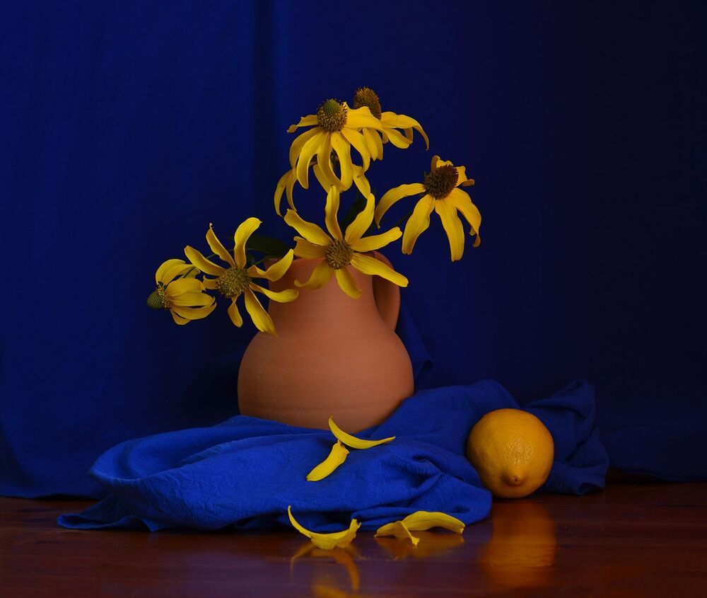 Photo 997776