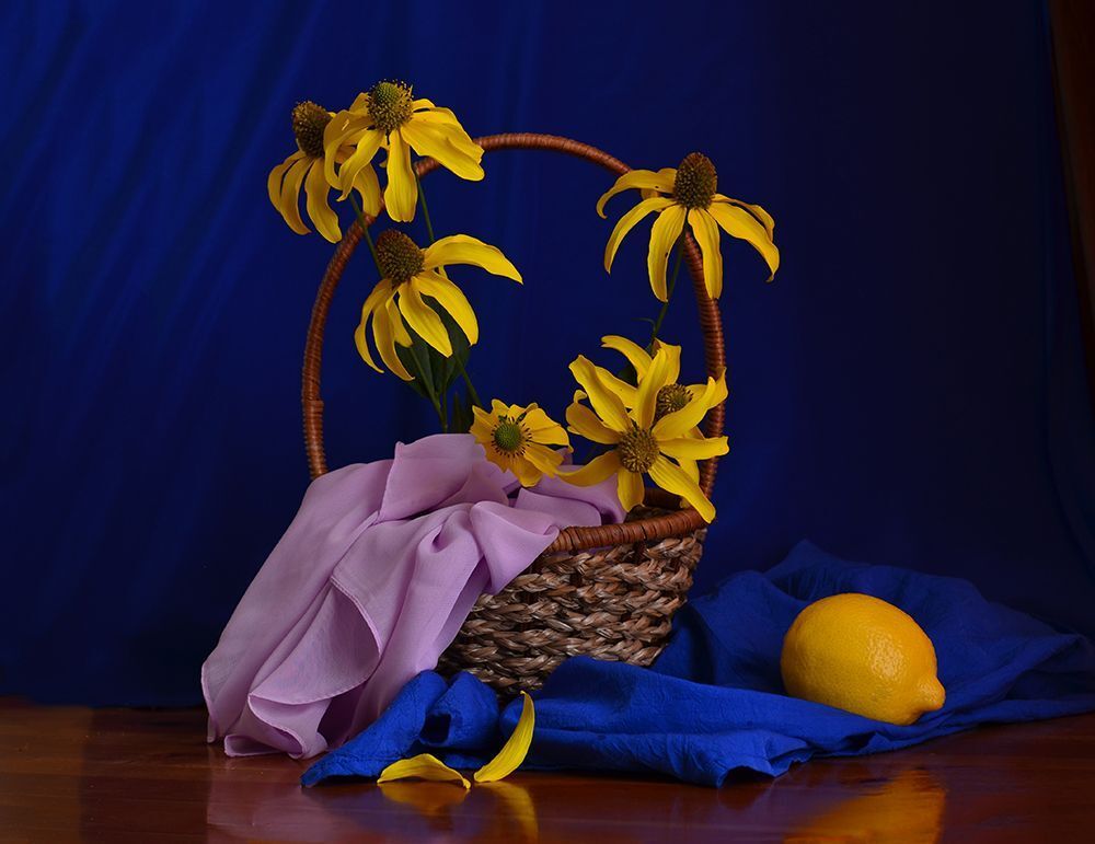 Photo 997778
