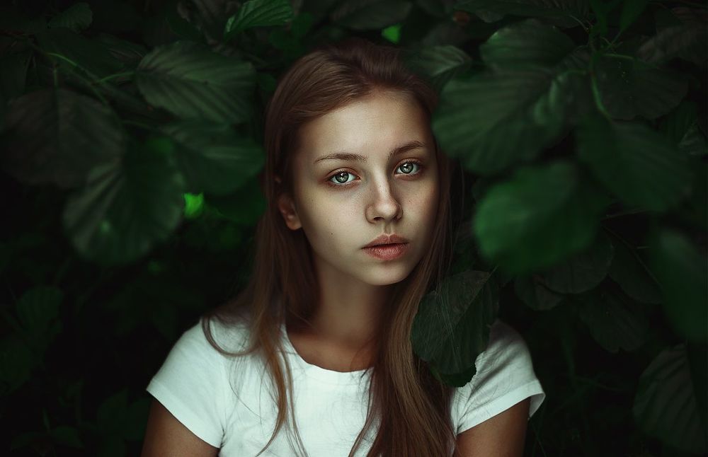 Лес