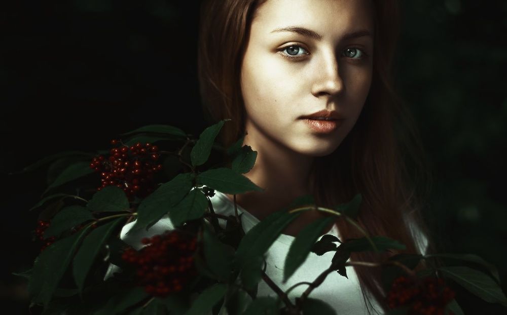 Лес
