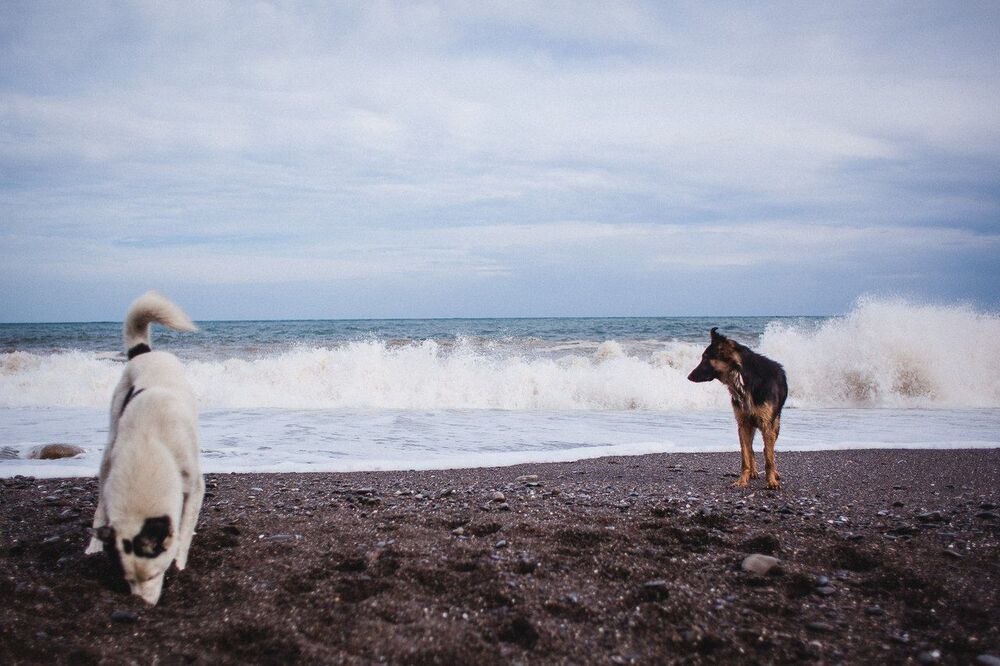 Любить у моря