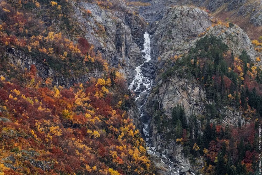 Краски осенних склонов