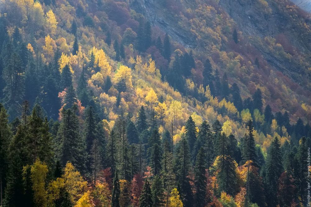 Краски осенних склонов