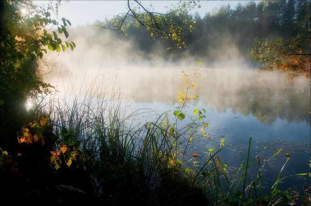Photo 999510