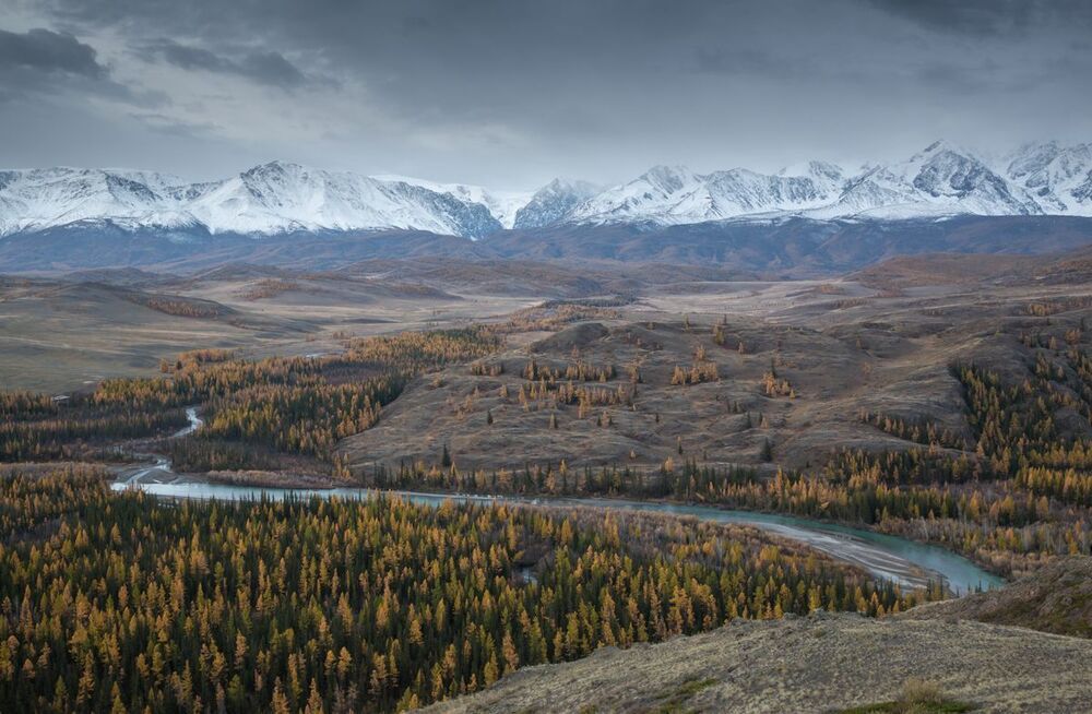 Курайская степь