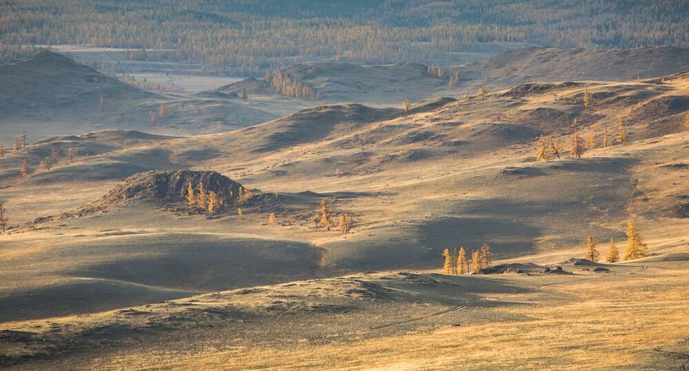 Курайская степь