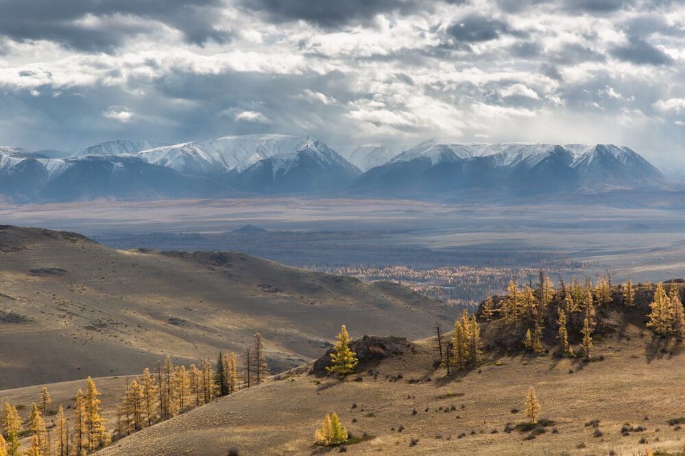 Курайская степь