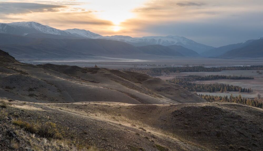 Курайская степь