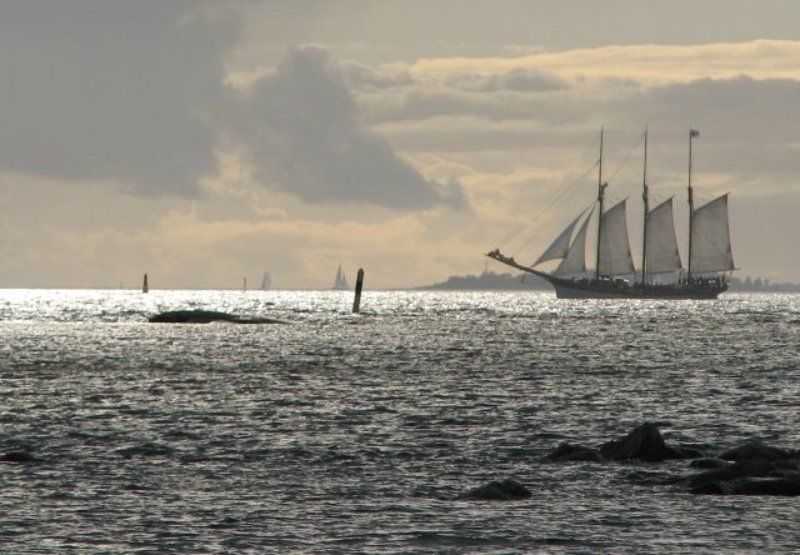 море, небо, корабли неалые паруса фото превью