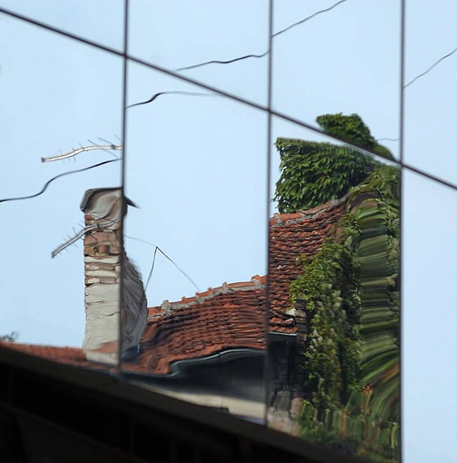 Сербия, Белград, архитектура, Racoon