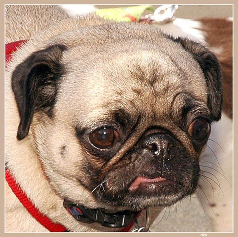 1 фото превью