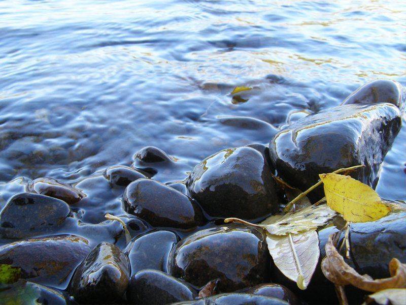 вода, река, листья, ABone