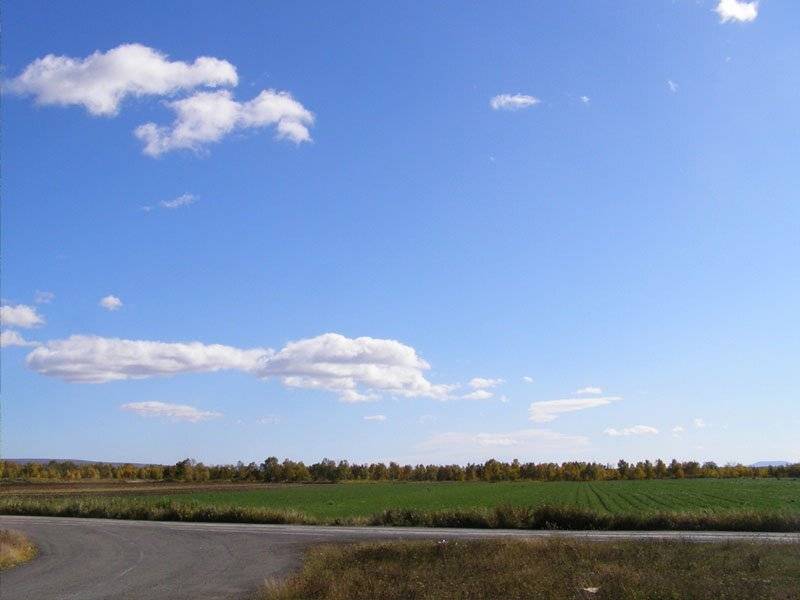 поле, небо, ABone