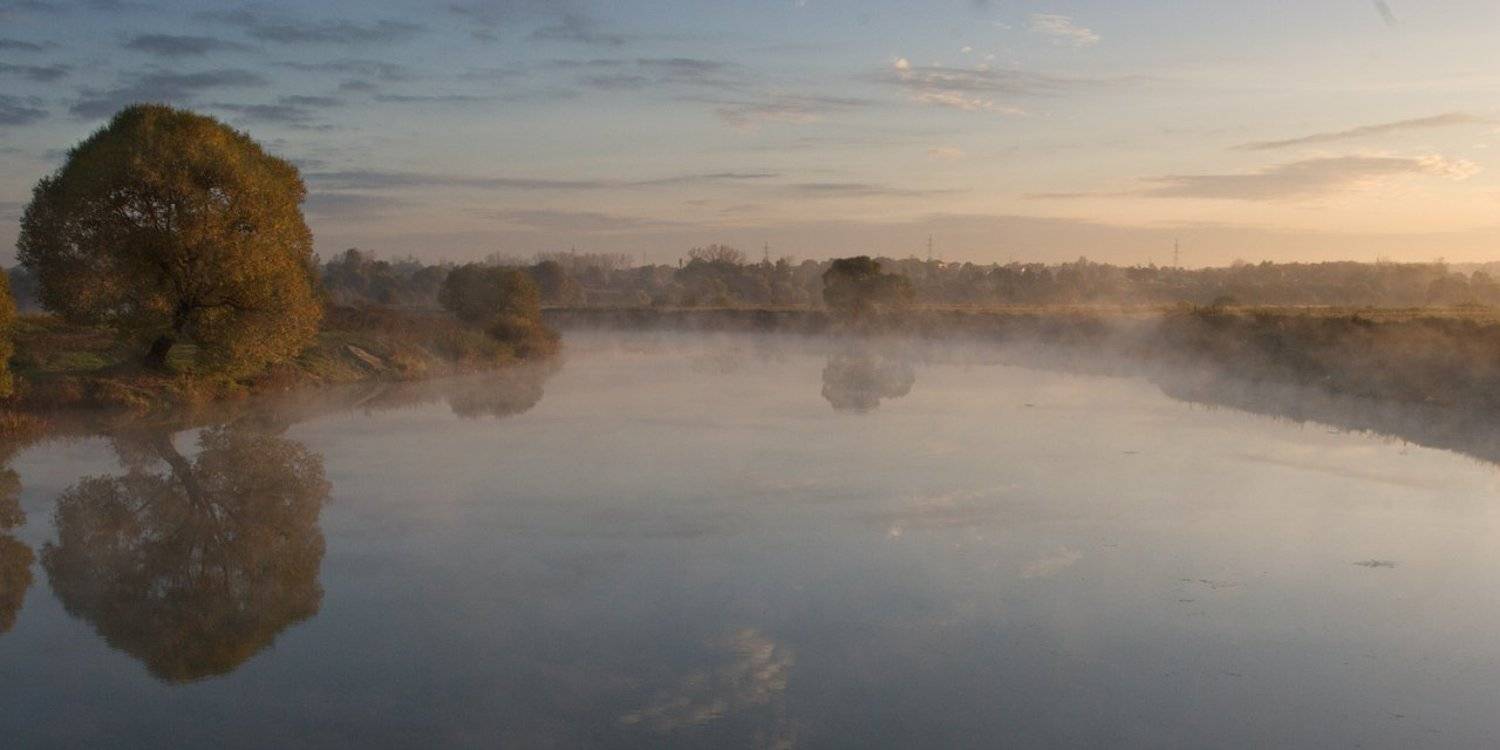 утро, рассвет, пейзаж, река, дерево, Артём Сапегин