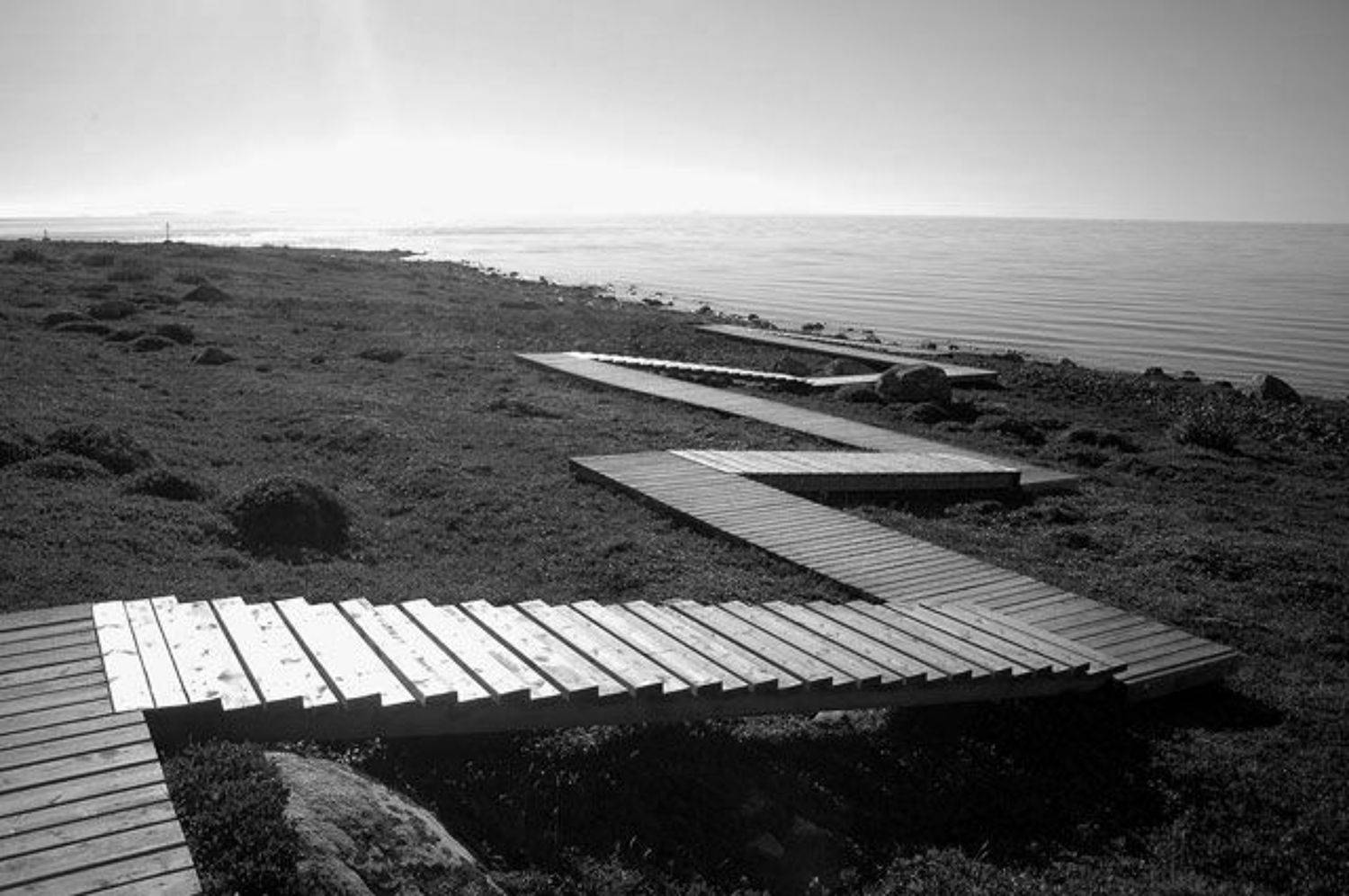 Большой заяцкий остров, соловки, Владимир