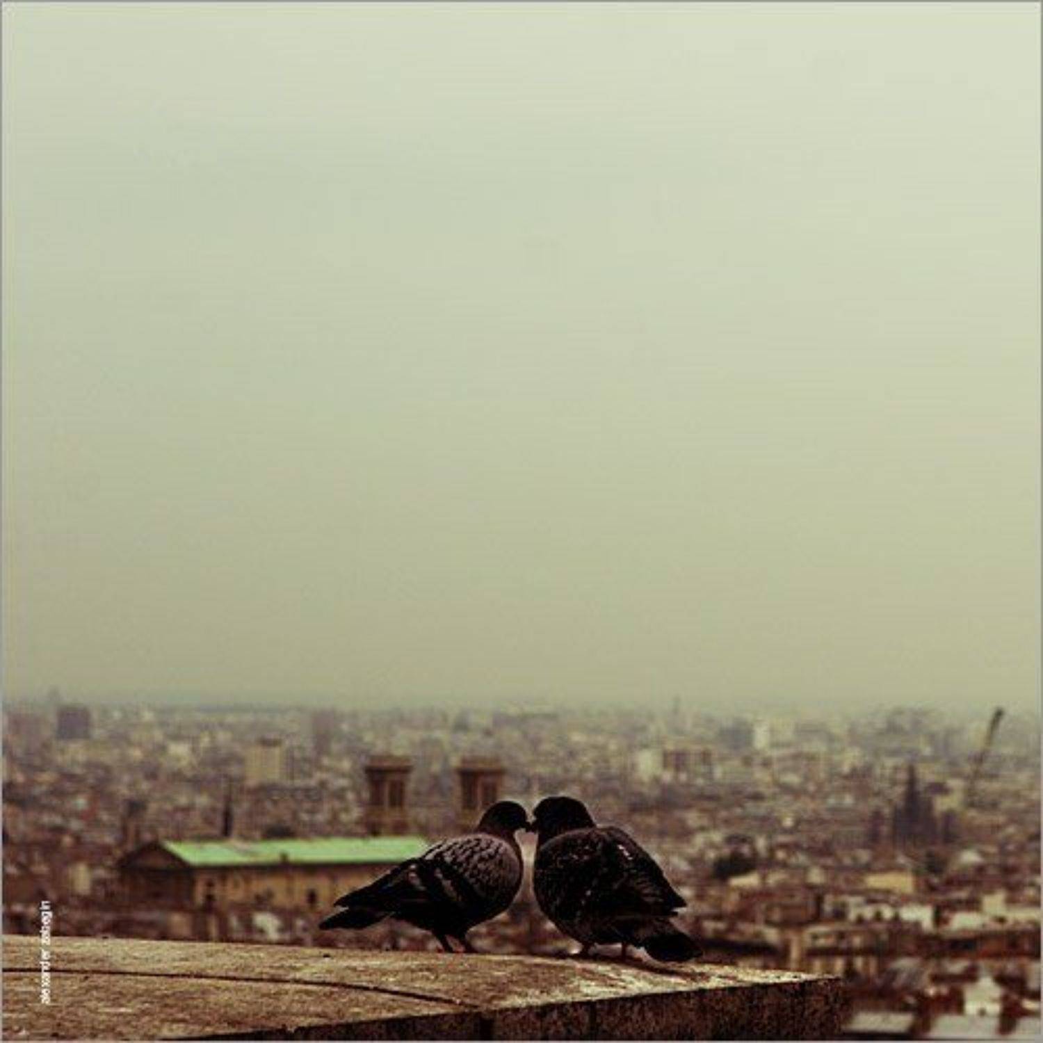 paris, montmartre, париж, монмартр, голуби, love, Alexander Zabegin