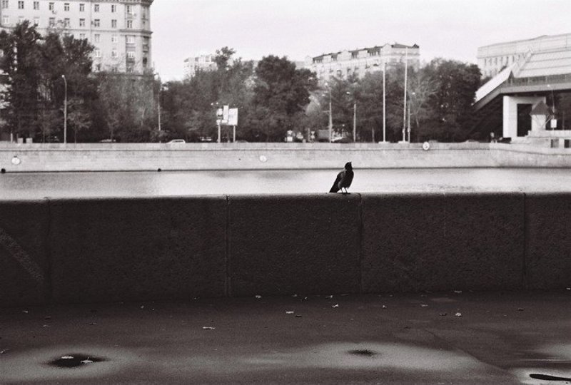 москва, ч/б, ilford Душа фото превью