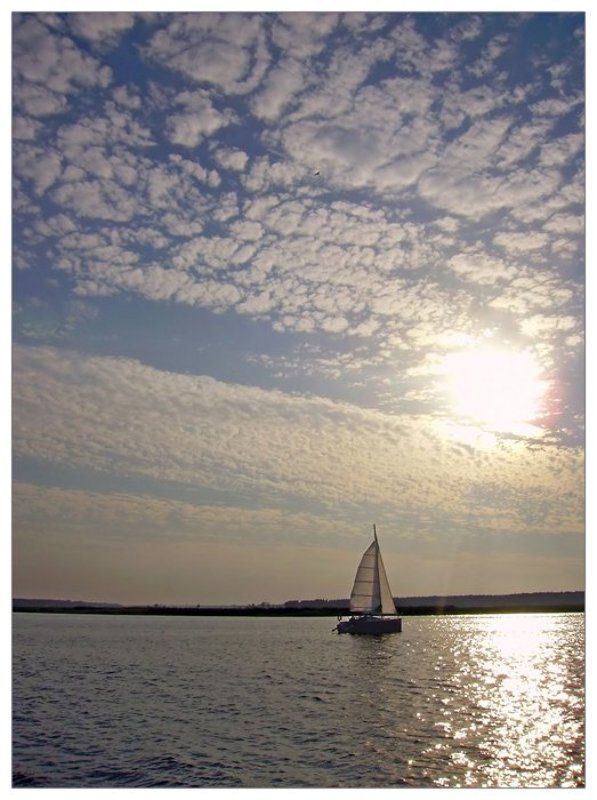 яхта, река, парус белеет парус одинокий... фото превью