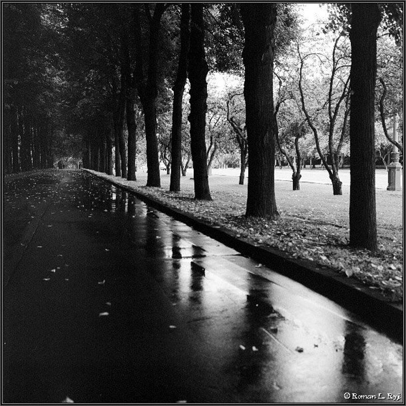 hasselblad, planar, foma После дождя фото превью