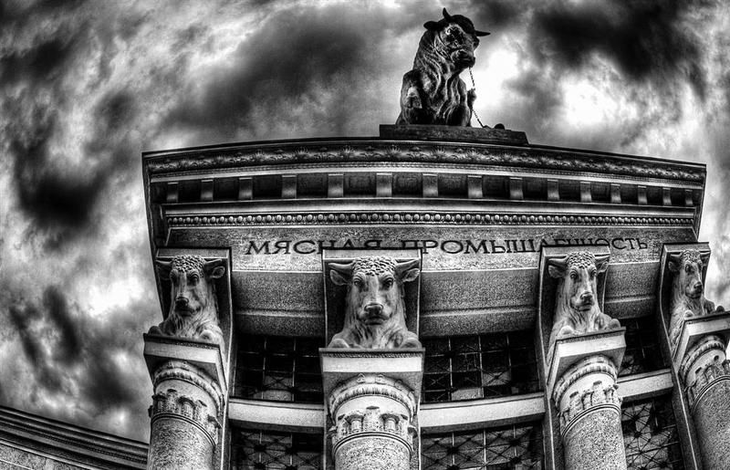 Вегетарианство фото превью