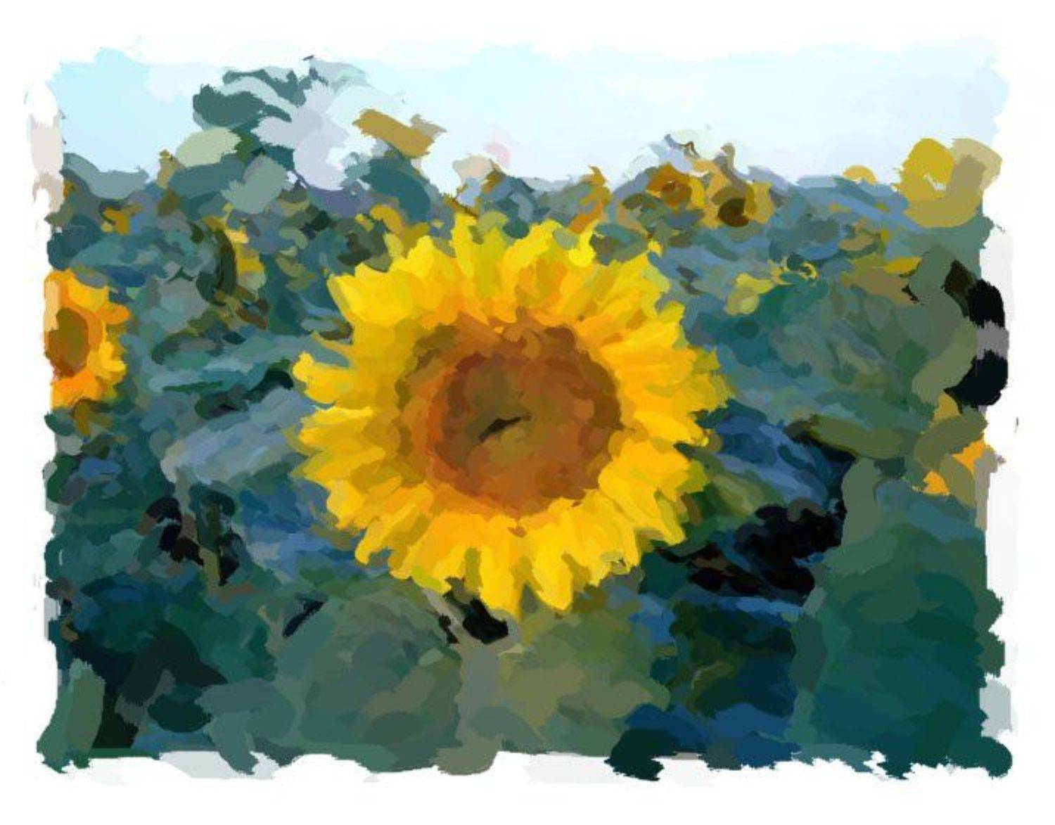 природа,арт, August